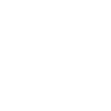 國(guó)內(nèi)外專(zhuān)家團(tuán)隊(duì)